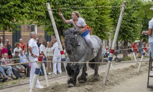 Ringsteken + mega rommelroute Wemeldinge Zaterdag 6 sept 9-16 uur