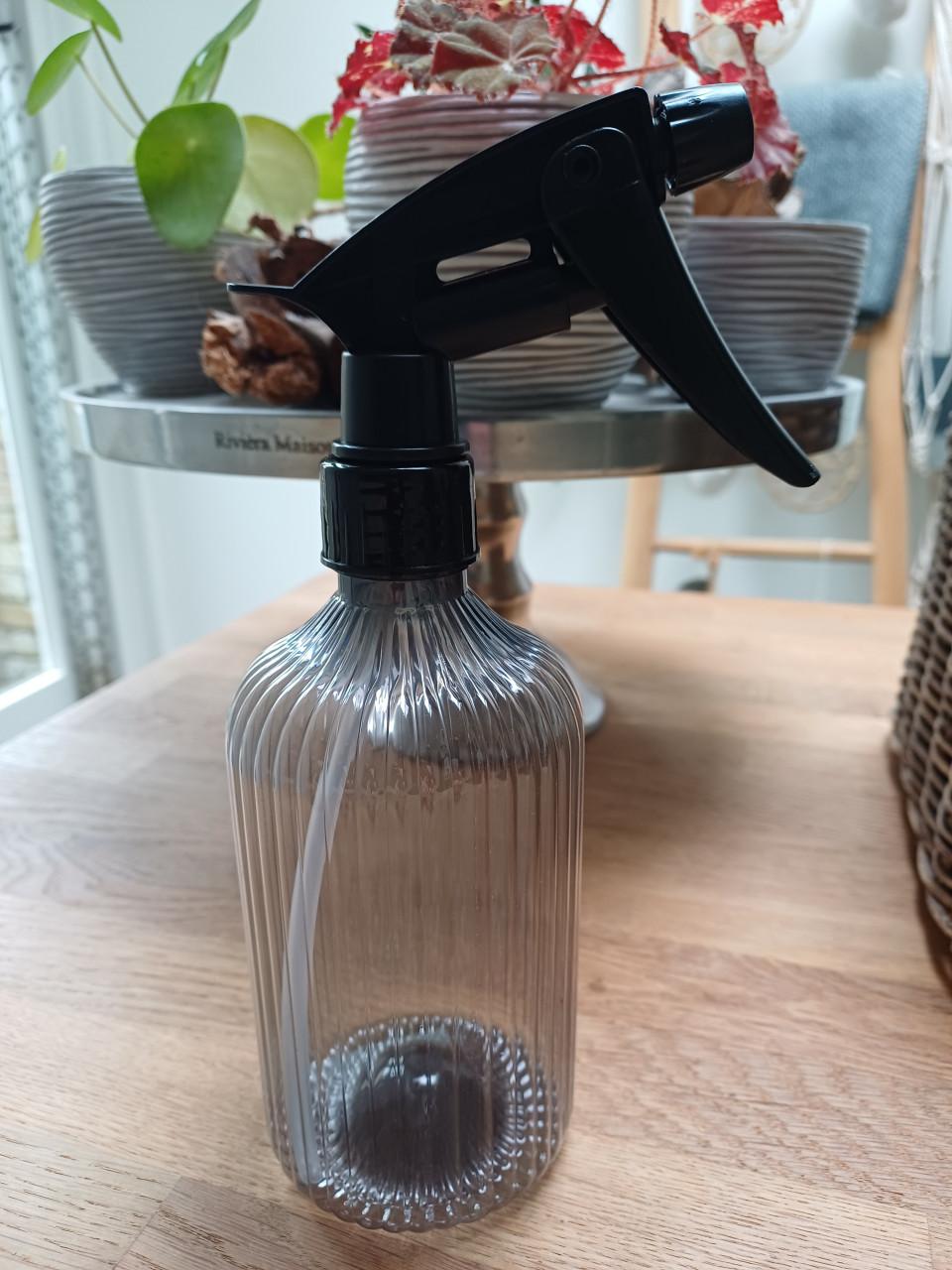 Supergrote ALOË ARBORESCENS: gezond en onlangs nog verpot!