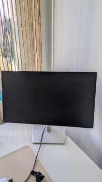 Dell monitor; 24 en 22 inch (samen 80 euro)