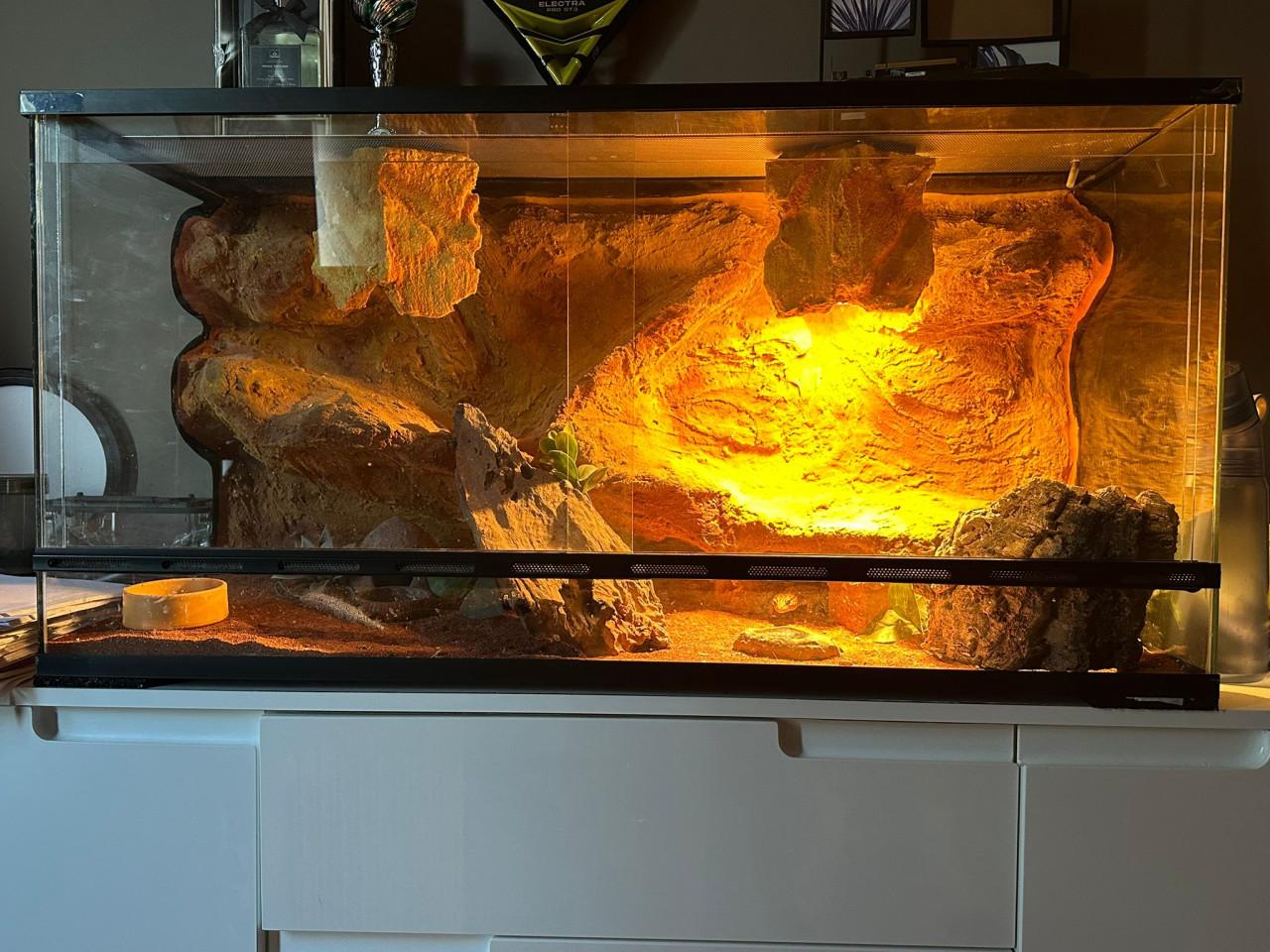 Prachtig terrarium 120x40x50