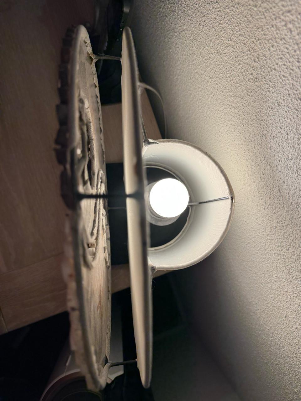Yin en Yang schelpen lamp