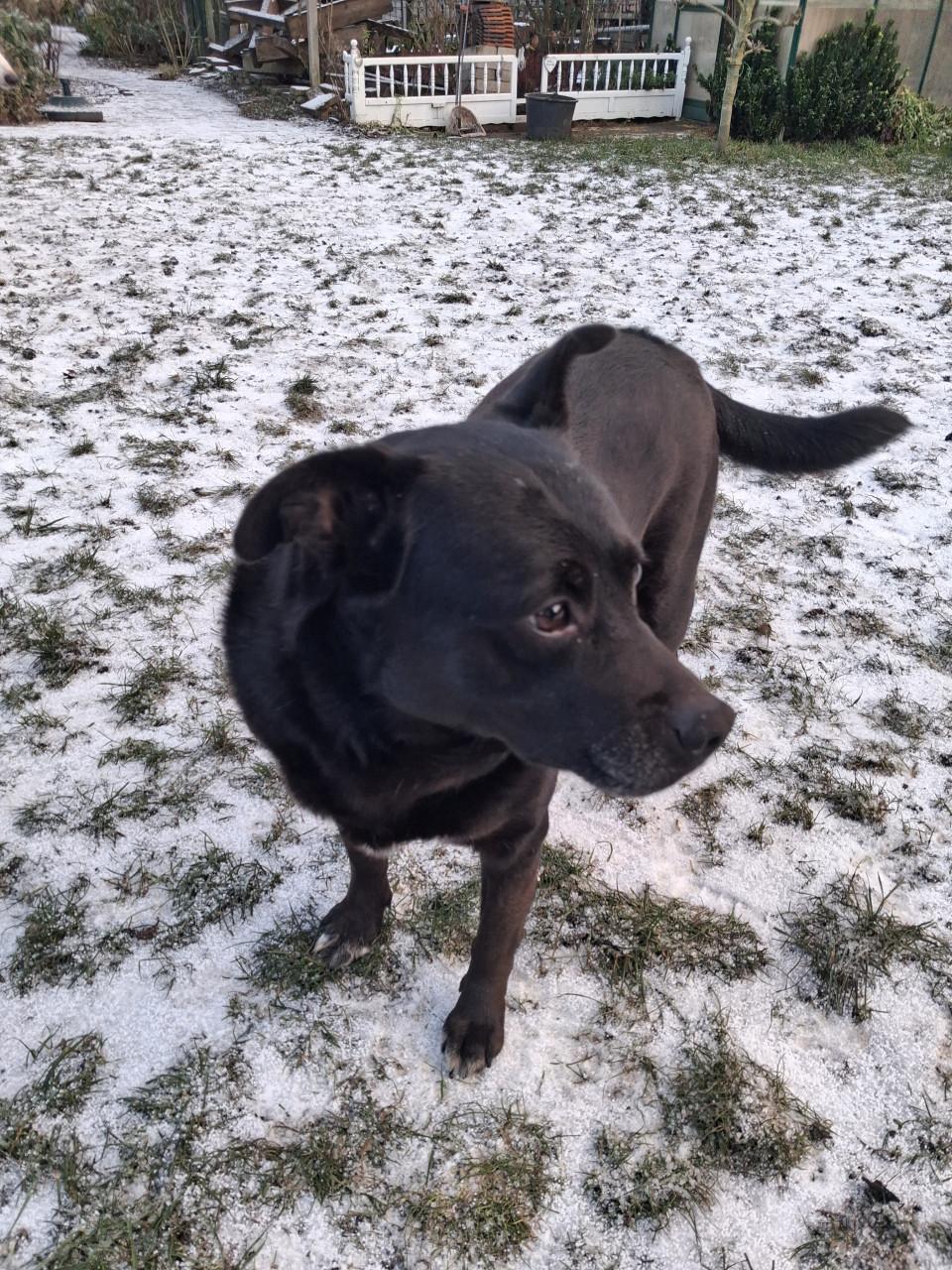 Ter adoptie Sally 6 jaar