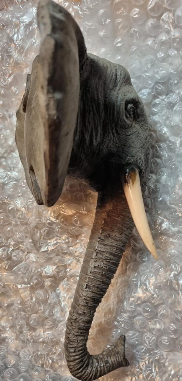 MOOIE OLIFANTENHOOFD (wanddecoratie)