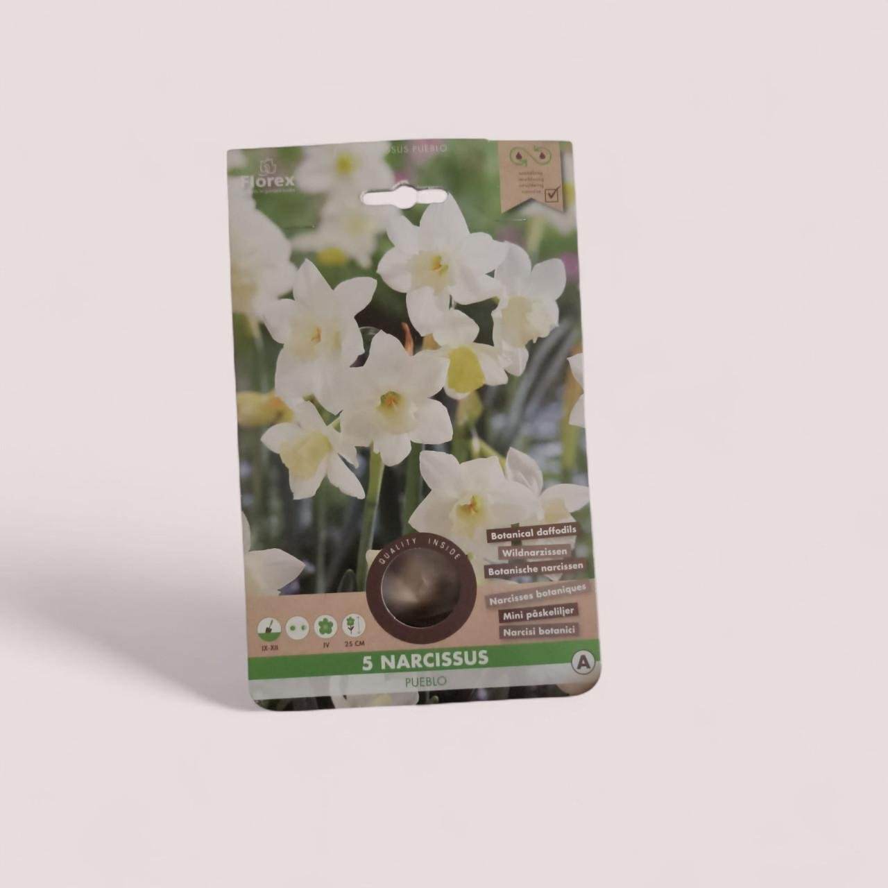 Bloembollen te koop nieuw in verpakking