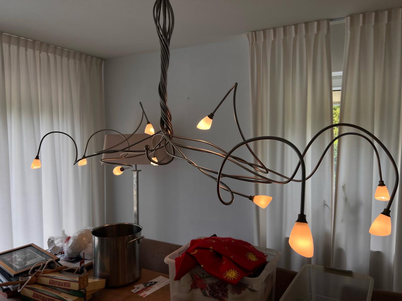 Design Hanglamp Metaal met 10 Lichtpunten