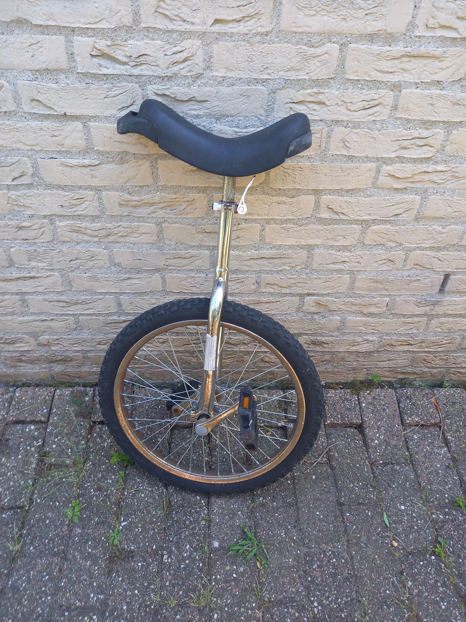 Eenwieler