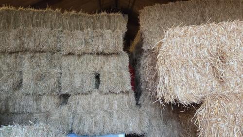 Te Koop Tarwe Stro Graszaadhooi weidehooi