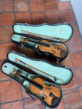 Violen in koffer