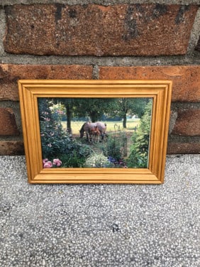 Leuk lijstje met paarden.