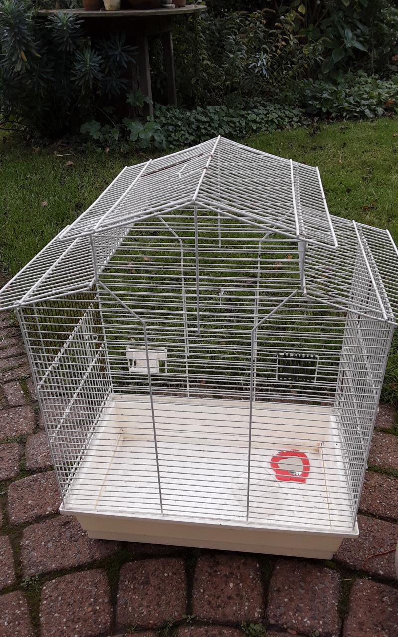 Vogelkooi