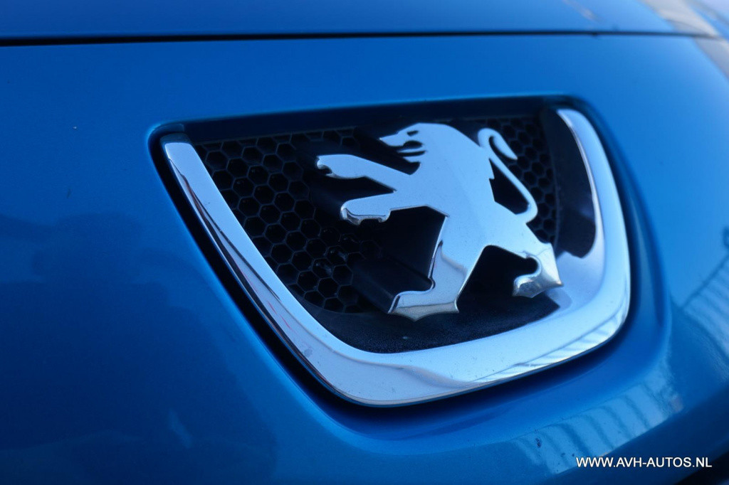 Peugeot 207 1.4-16v color-line