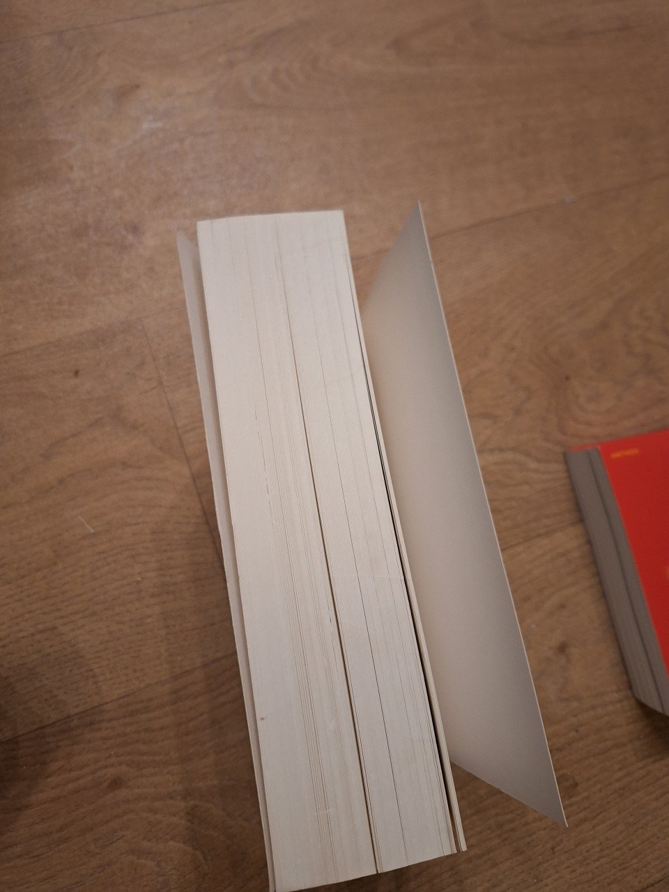 2 boeken Marischa Pessl