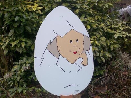 Geboorteborden / babyborden