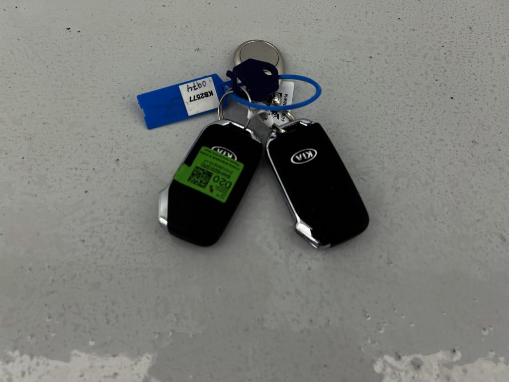 Kia E-niro dynamicplusline 64 kwh | schuif-/kanteldak |