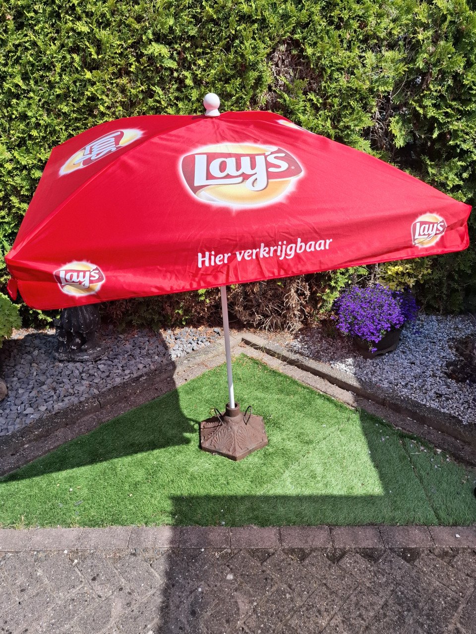 Parasol lays