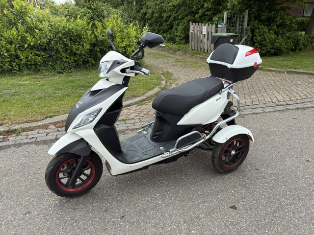 GEEN RIJBEWIJS ? NIET NODIG MET DEZE STOERE NIPPONIA PRIDE !