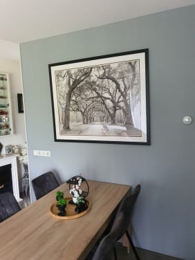 Te koop mooi landschap schilderij