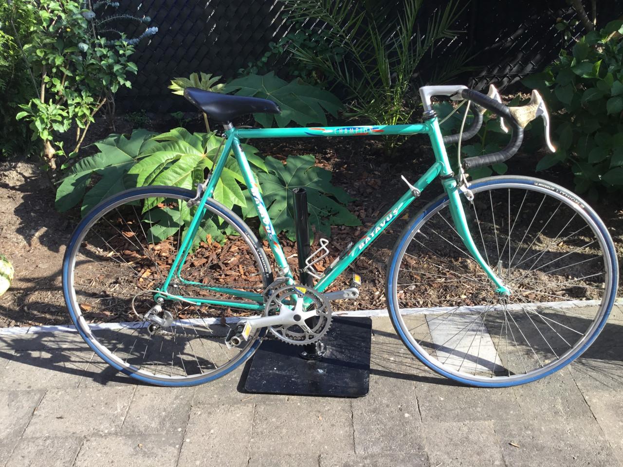 Wielrenfiets Batavus champion