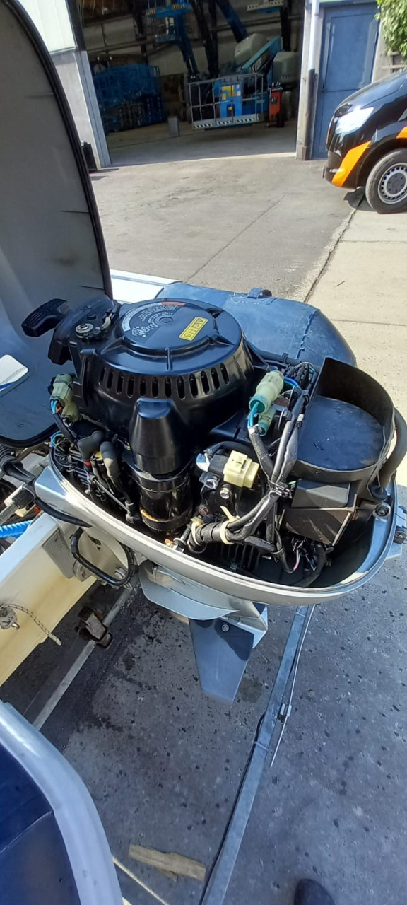 Rib 2.9 met honda 20pk