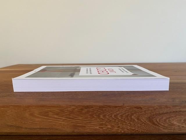 Nieuw | Komt goed | Annemarie Geerts