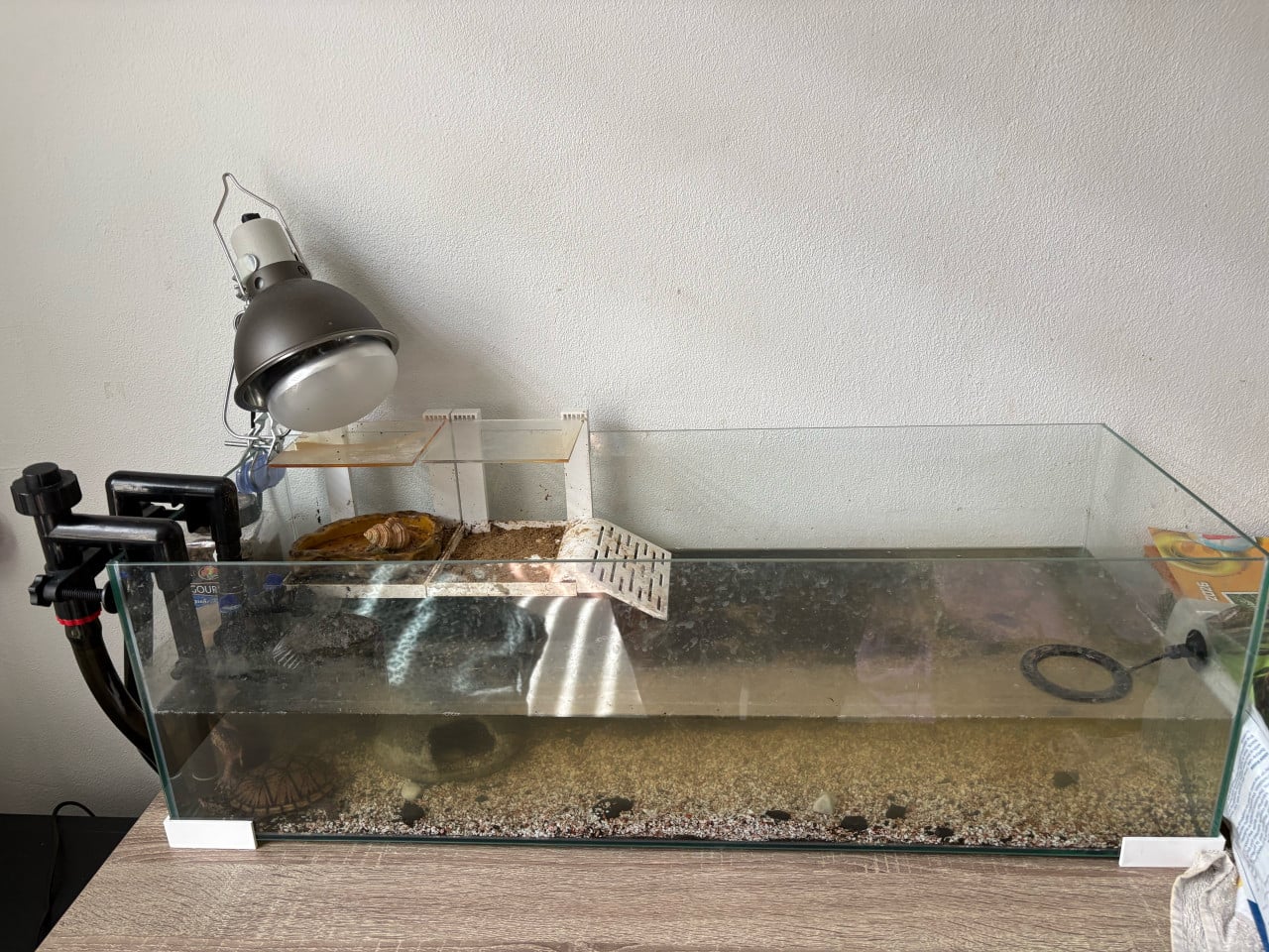 Aquarium incl waterschildpadde
