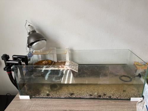 Aquarium incl waterschildpadde