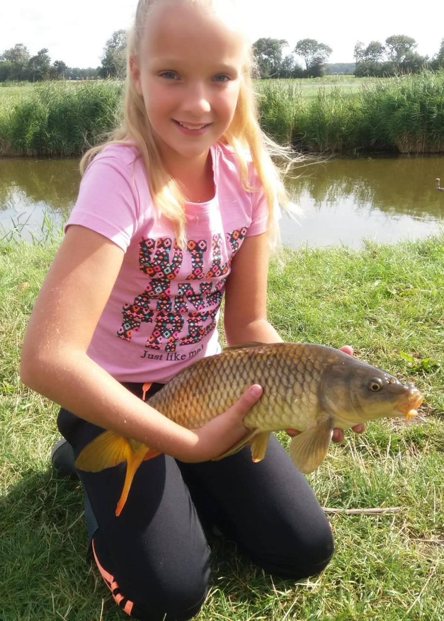 Hengelsport in de polder bij Karpervisserij Koudekerke €17,50 visvergunning