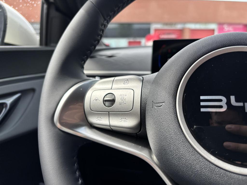 Byd Dolphin Surf comfort 43 kwh