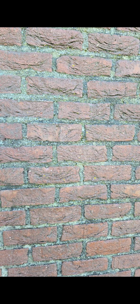 Hogedruk reinigen/schoonmaak tuin/gevel/erven/ straten en meer