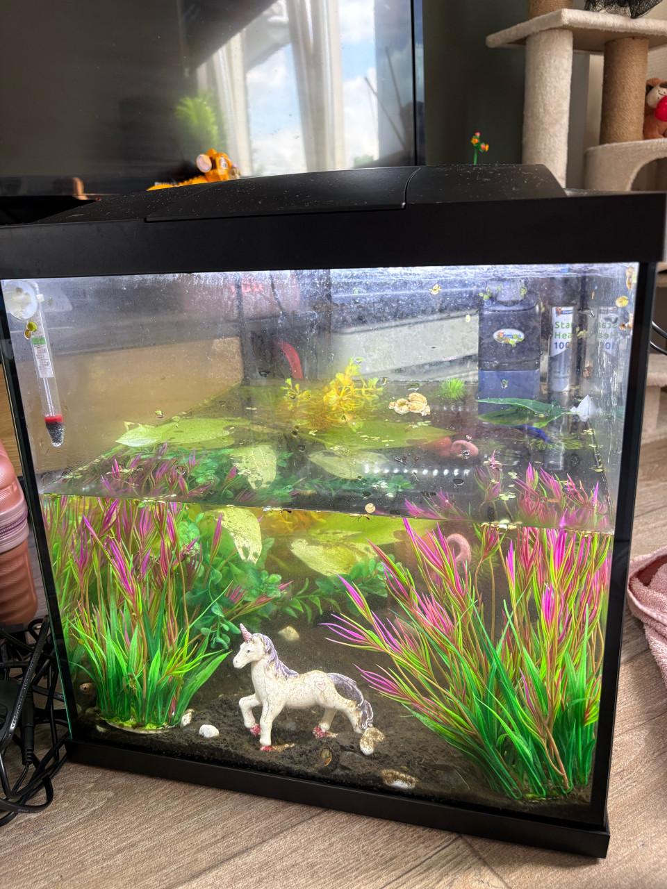Aquarium
