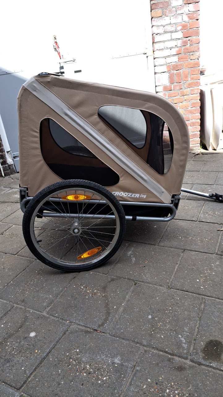 Grote hondenfietskar