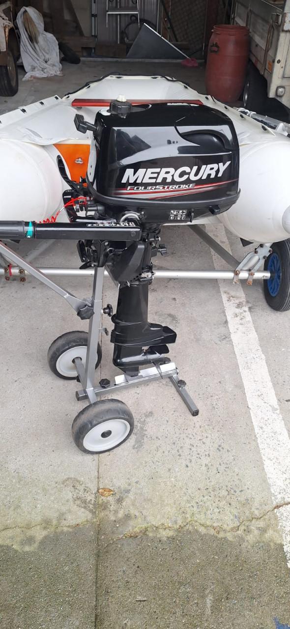 Suzumar 290 en 5 PK Mercury