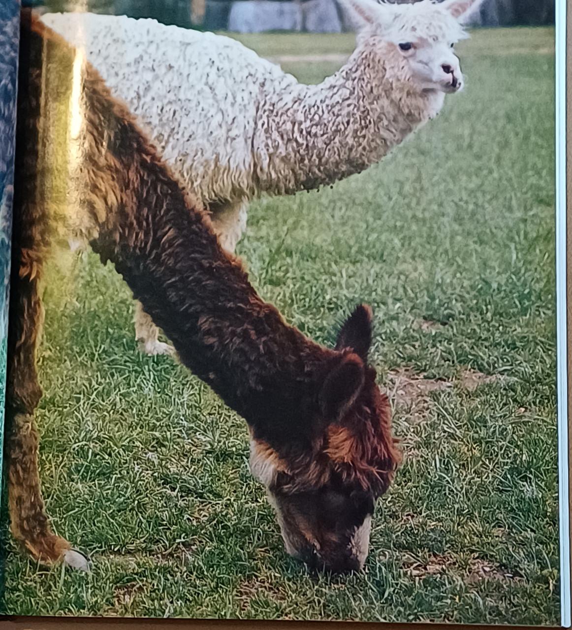 Natuur Encyclopedie