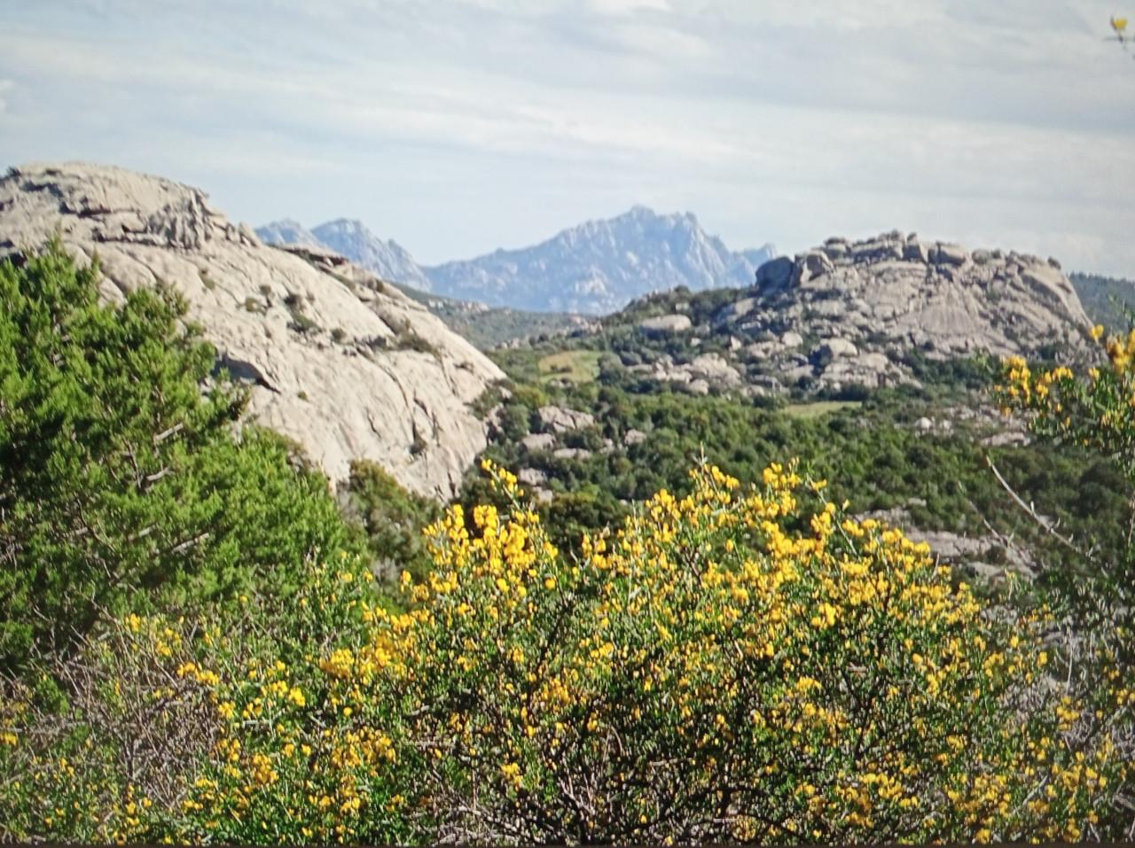 Tekenen en schilderen op Sardinië