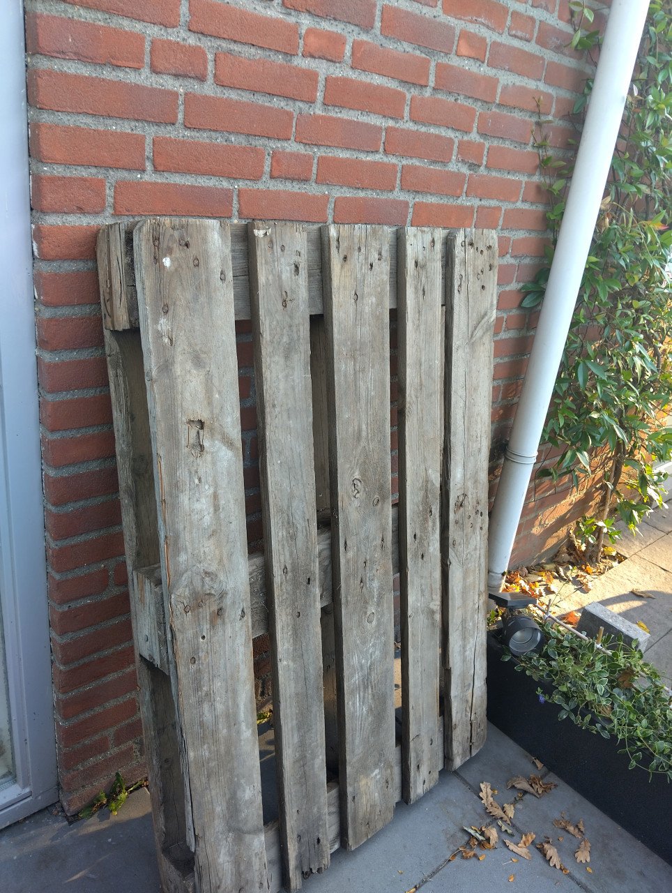 Pallet