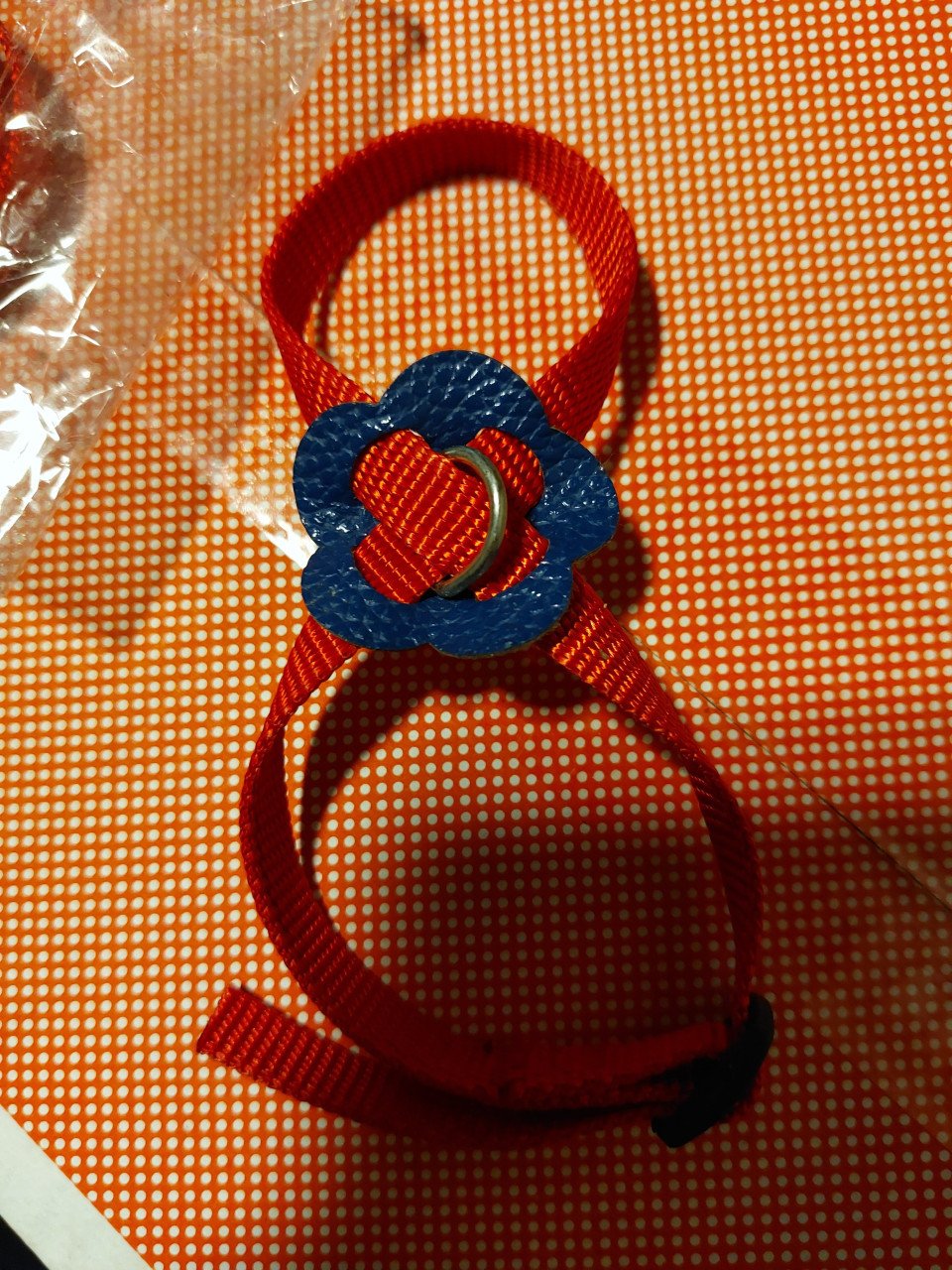 Tuigje voor knaagdier