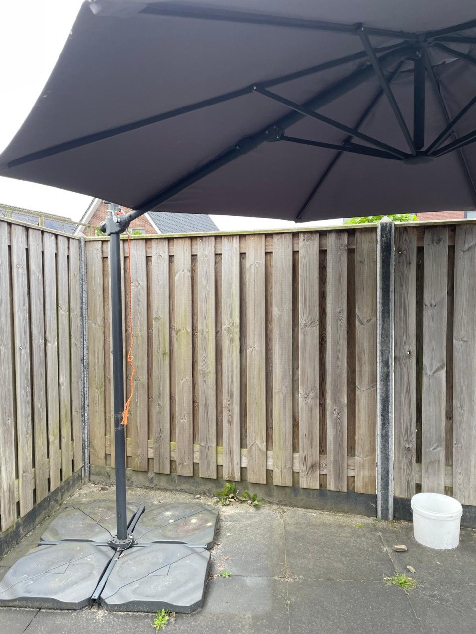 Parasol