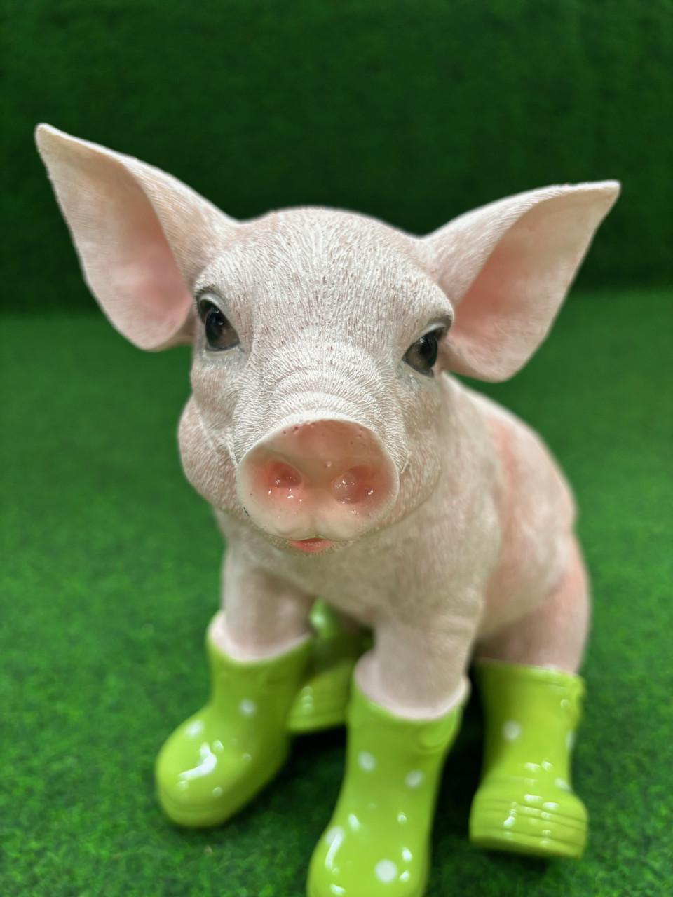 Varken zittend met groene laarzen