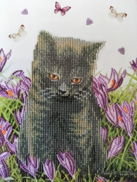 Diamond Painting set - Franciens Katten