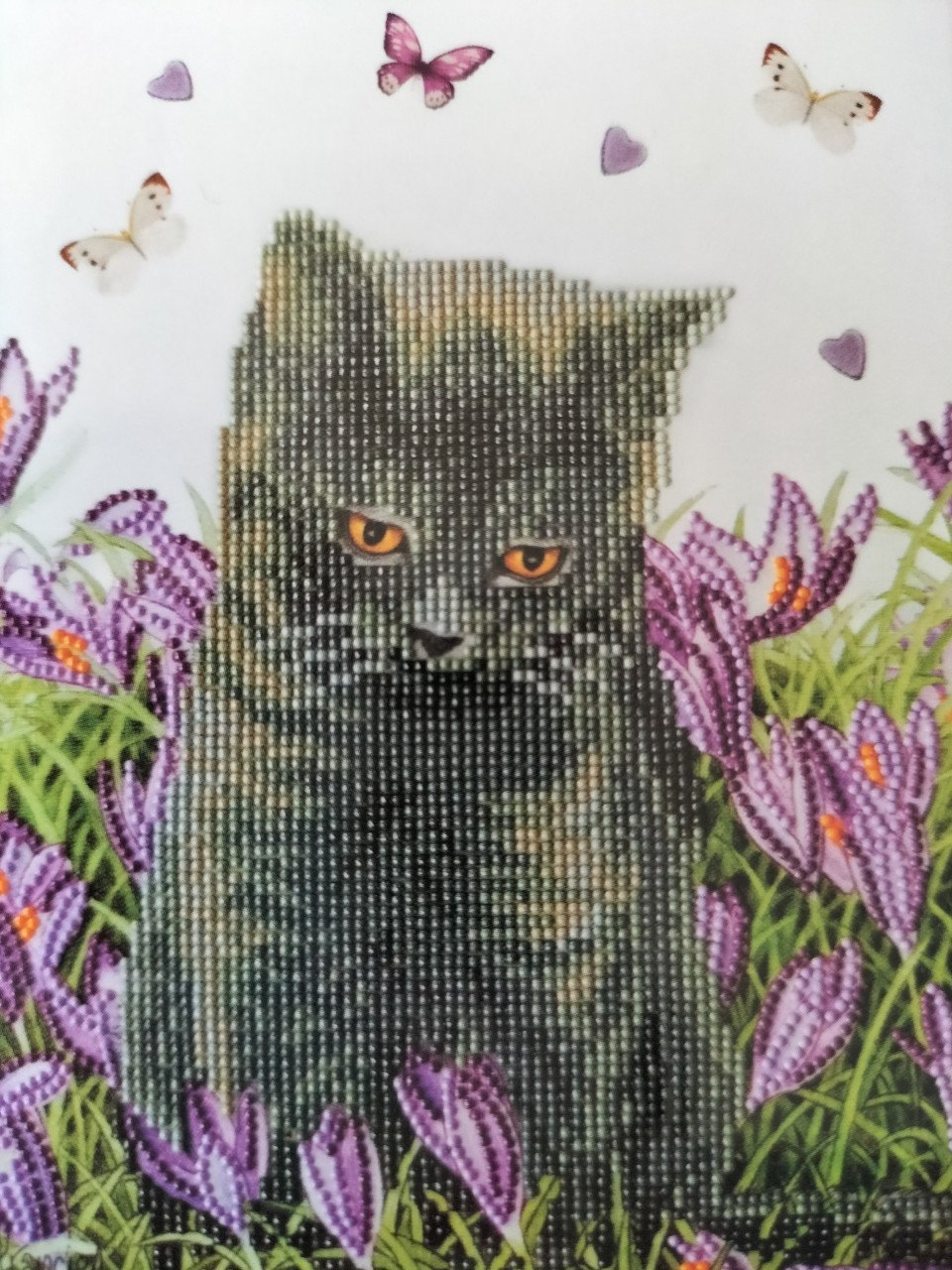 Diamond Painting set - Franciens Katten