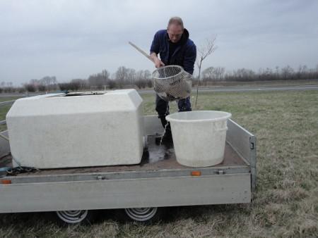 Koop je visvergunning voor het jaar 2026 bij Jos en Jolanda en Saskia 17,50