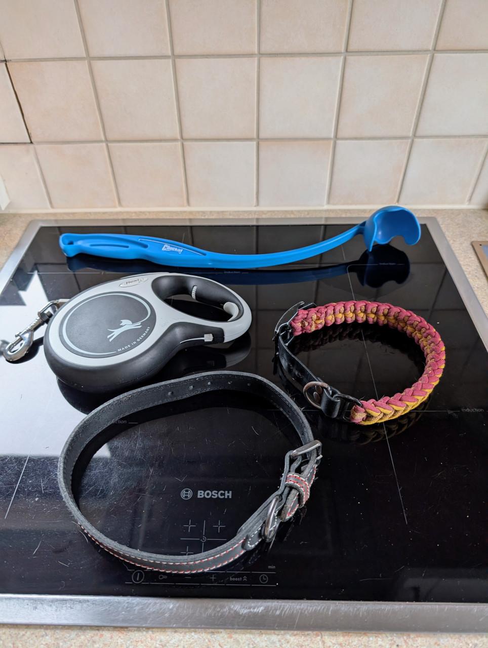 Honden benodigheden halsband, flexilijn, werpstok