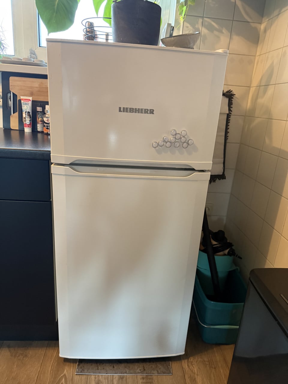 Liebherr Koelkast met vriesvak