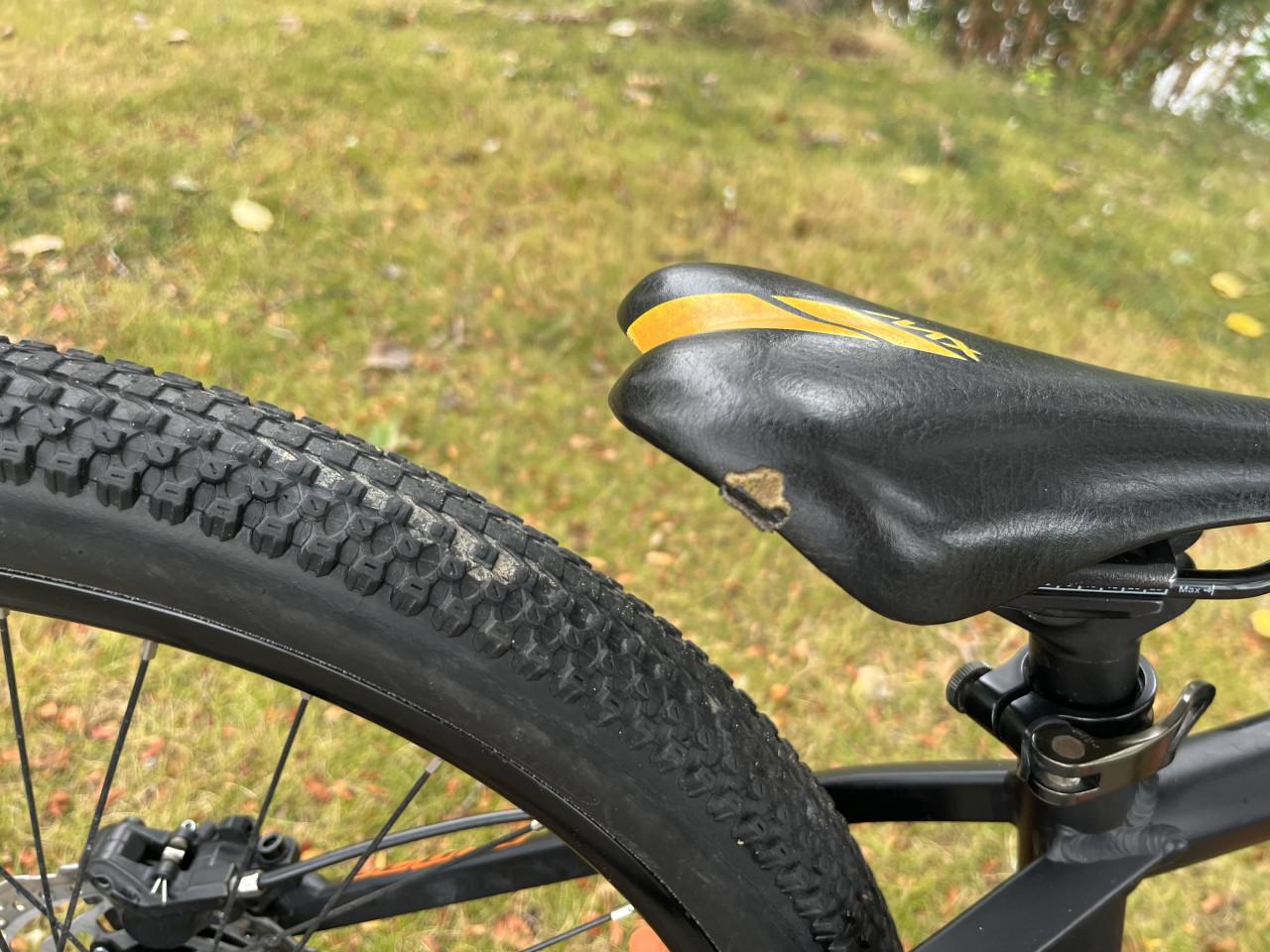 Orbea MX24 DISC