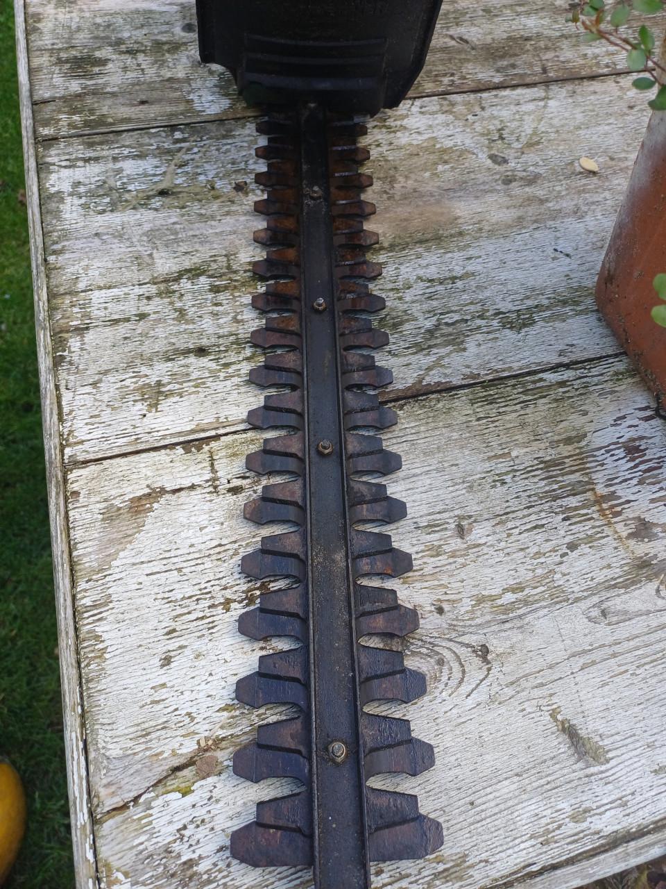 Heggeschaar elektrisch
