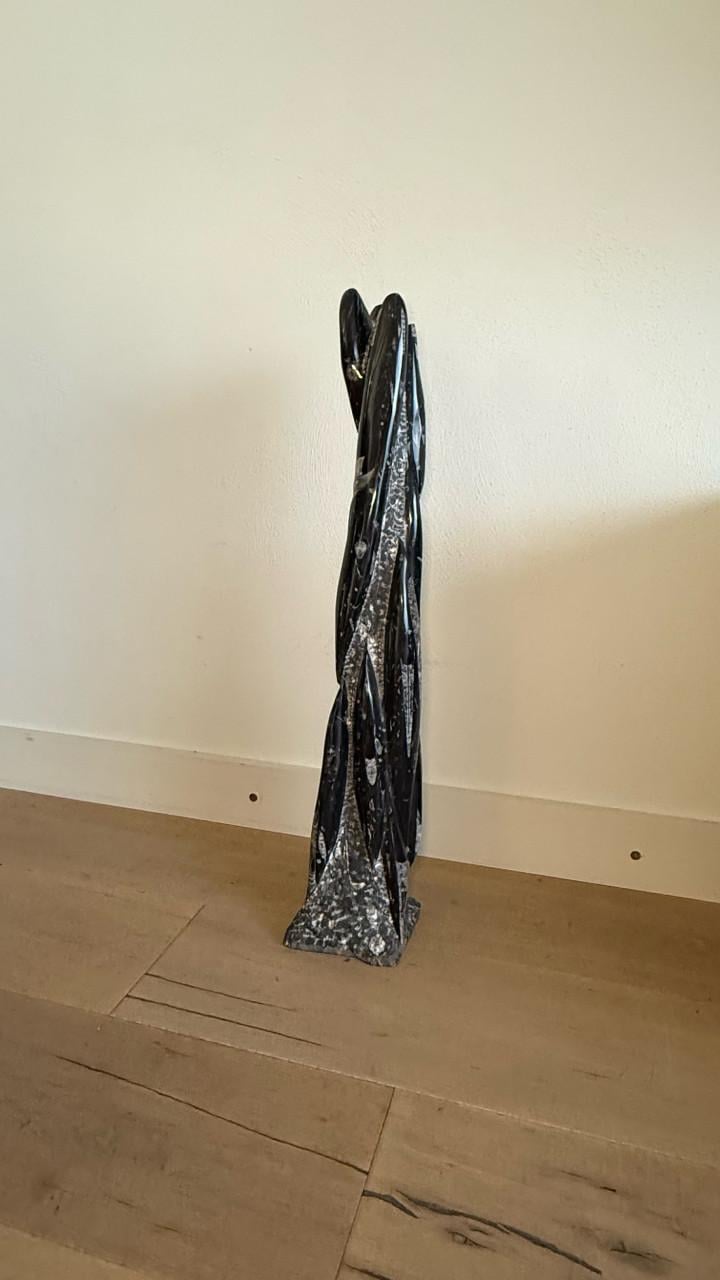 Orthoceras - fossiel van pijlstaartinvissen