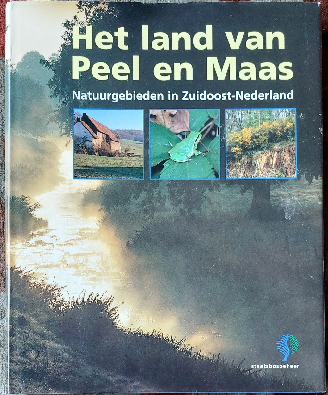 Romantisch Boek