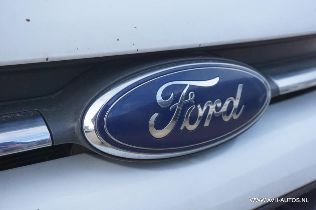 Ford Transit Custom 290 2.2 tdci l2h2 trend