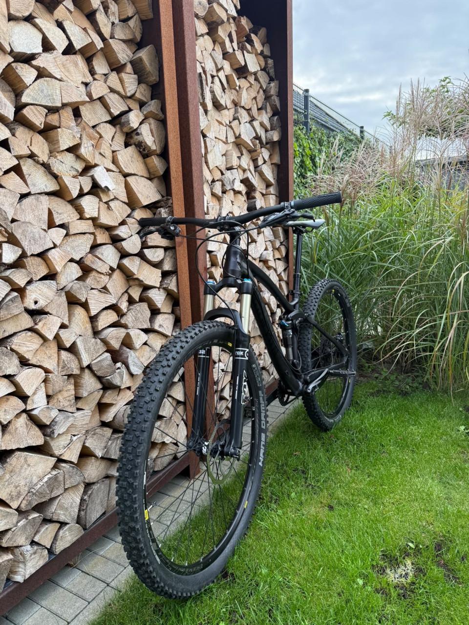 Mountainbike Canyon Nerve full suspension