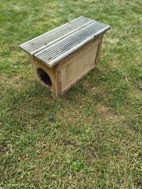 Buiten verblijf katten